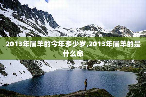 2013年属羊的今年多少岁,2013年属羊的是什么命