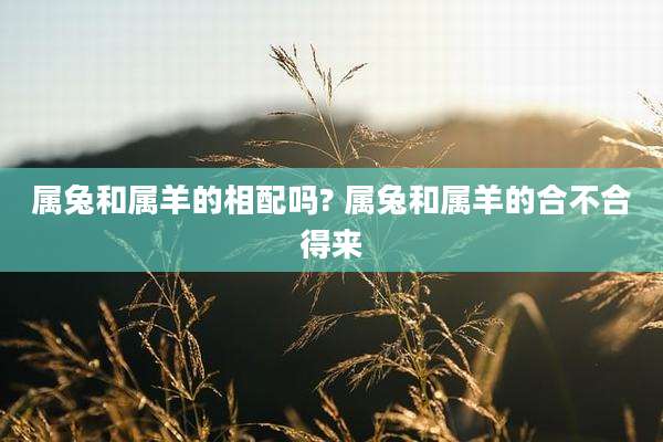 属兔和属羊的相配吗? 属兔和属羊的合不合得来