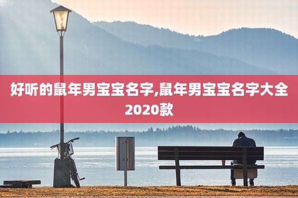 好听的鼠年男宝宝名字,鼠年男宝宝名字大全2020款