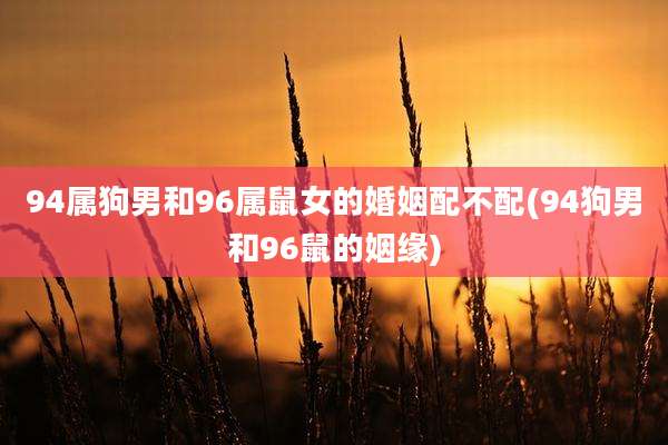 94属狗男和96属鼠女的婚姻配不配(94狗男和96鼠的姻缘)