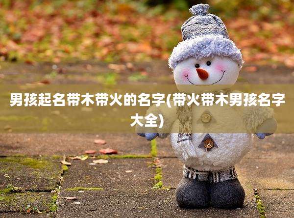 男孩起名带木带火的名字(带火带木男孩名字大全)