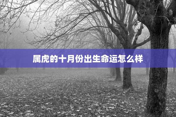 属虎的十月份出生命运怎么样