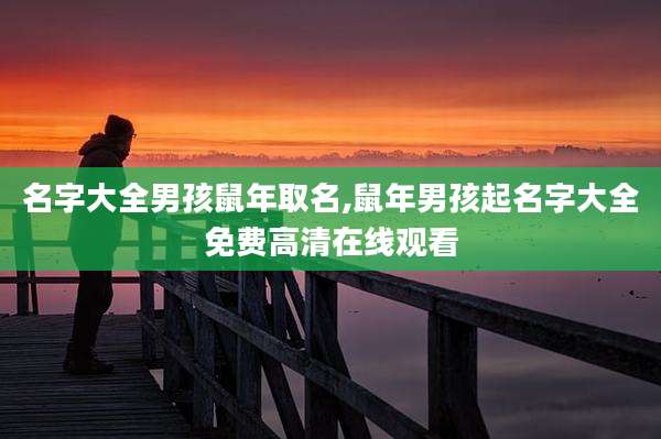 名字大全男孩鼠年取名,鼠年男孩起名字大全免费高清在线观看