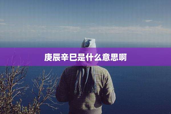庚辰辛巳是什么意思啊