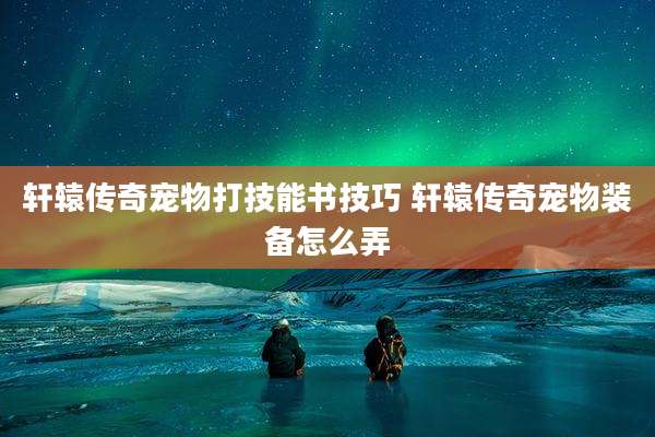 轩辕传奇宠物打技能书技巧 轩辕传奇宠物装备怎么弄