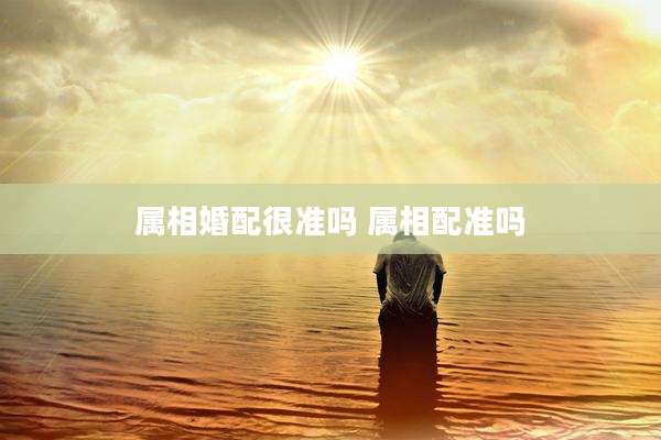 属相婚配很准吗 属相配准吗
