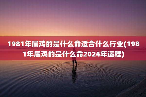 1981年属鸡的是什么命适合什么行业(1981年属鸡的是什么命2024年运程)
