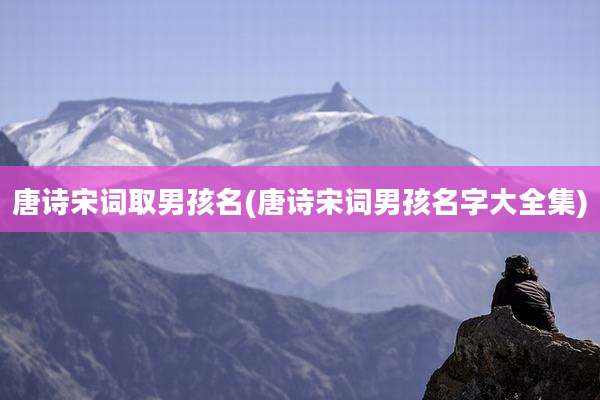 唐诗宋词取男孩名(唐诗宋词男孩名字大全集)