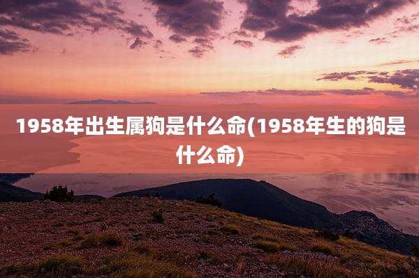 1958年出生属狗是什么命(1958年生的狗是什么命)