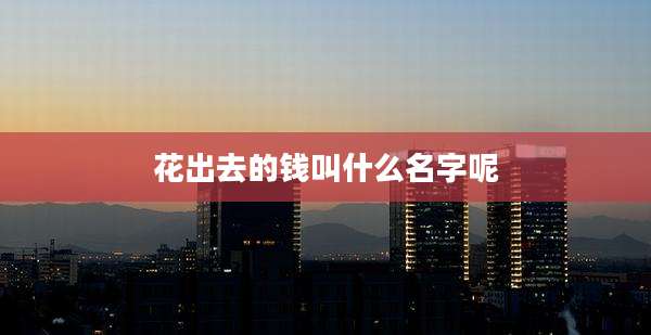 花出去的钱叫什么名字呢