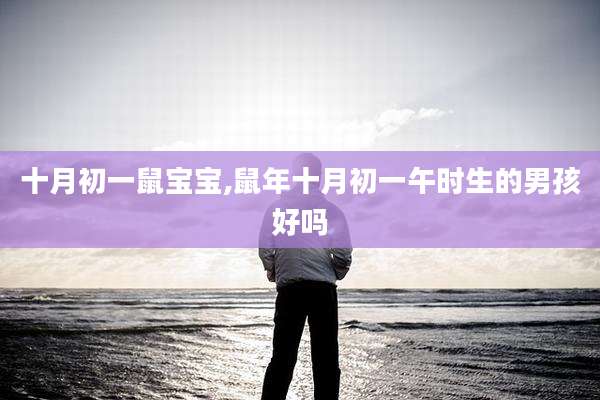十月初一鼠宝宝,鼠年十月初一午时生的男孩好吗