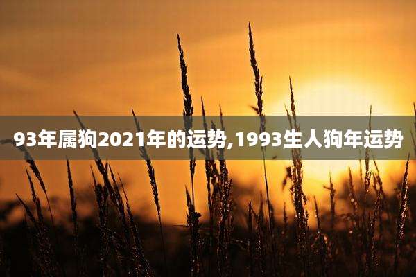 93年属狗2021年的运势,1993生人狗年运势