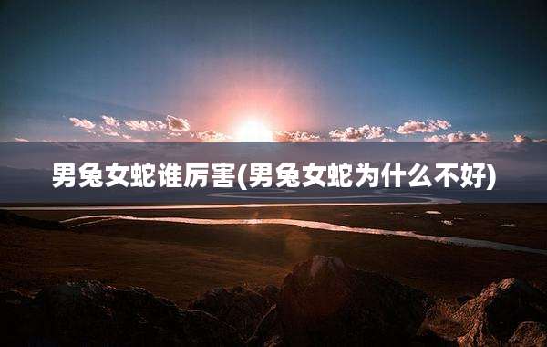 男兔女蛇谁厉害(男兔女蛇为什么不好)