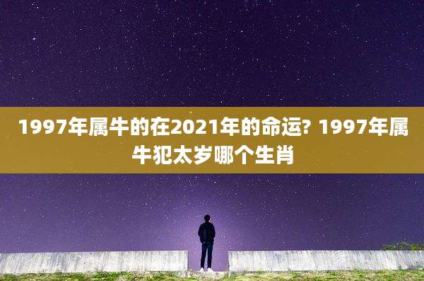1997年属牛的在2021年的命运? 1997年属牛犯太岁哪个生肖