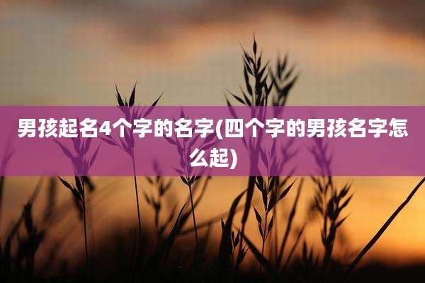 男孩起名4个字的名字(四个字的男孩名字怎么起)