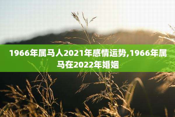 1966年属马人2021年感情运势,1966年属马在2022年婚姻