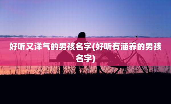 好听又洋气的男孩名字(好听有涵养的男孩名字)
