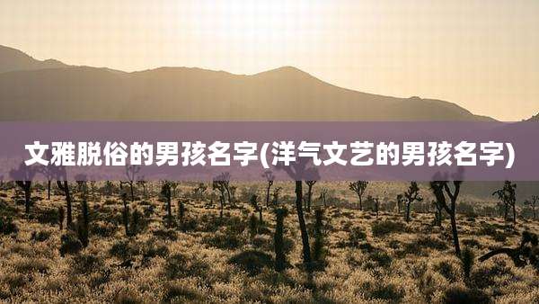 文雅脱俗的男孩名字(洋气文艺的男孩名字)