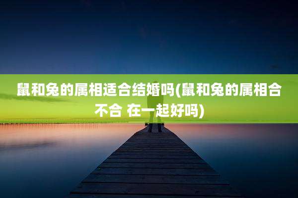 鼠和兔的属相适合结婚吗(鼠和兔的属相合不合 在一起好吗)