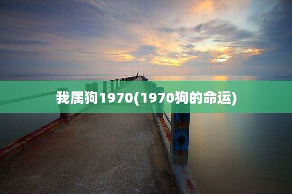 我属狗1970(1970狗的命运)