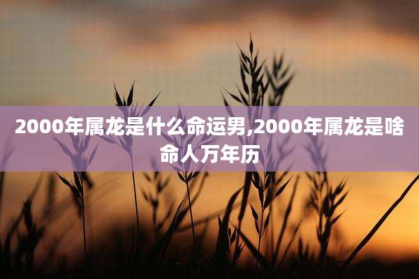 2000年属龙是什么命运男,2000年属龙是啥命人万年历
