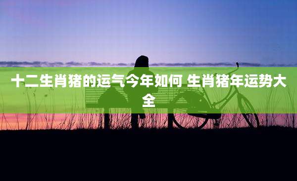十二生肖猪的运气今年如何 生肖猪年运势大全