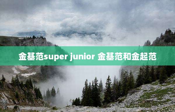 金基范super junior 金基范和金起范