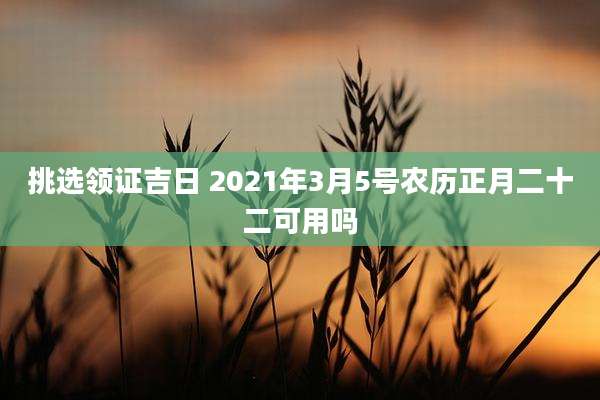 挑选领证吉日 2021年3月5号农历正月二十二可用吗