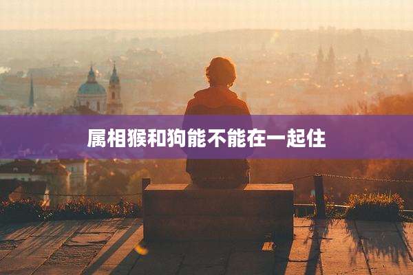 属相猴和狗能不能在一起住