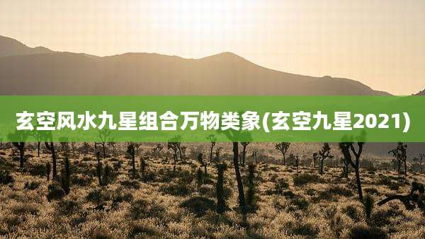 玄空风水九星组合万物类象(玄空九星2021)