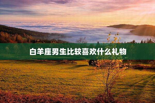 白羊座男生比较喜欢什么礼物