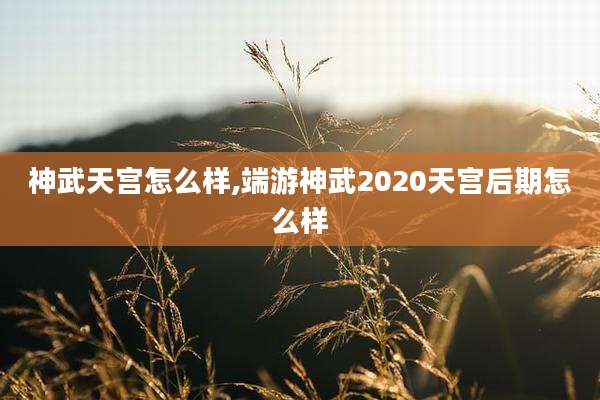 神武天宫怎么样,端游神武2020天宫后期怎么样