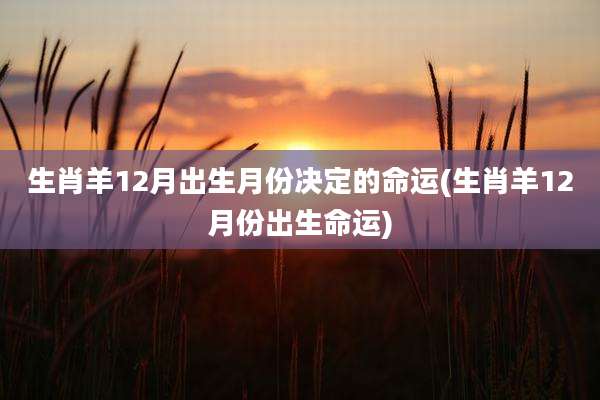 生肖羊12月出生月份决定的命运(生肖羊12月份出生命运)