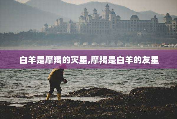 白羊是摩羯的灾星,摩羯是白羊的友星