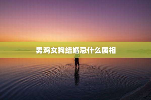 男鸡女狗结婚忌什么属相