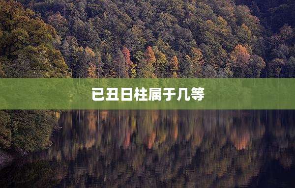 已丑日柱属于几等