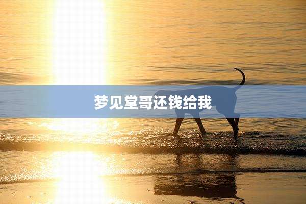梦见堂哥还钱给我