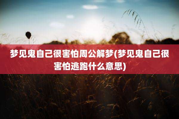 梦见鬼自己很害怕周公解梦(梦见鬼自己很害怕逃跑什么意思)