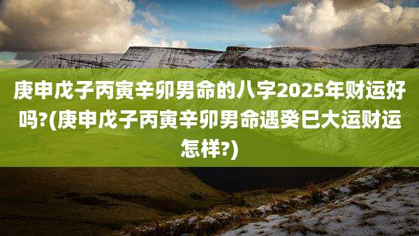 庚申戊子丙寅辛卯男命的八字2025年财运好吗?(庚申戊子丙寅辛卯男命遇癸巳大运财运怎样?)