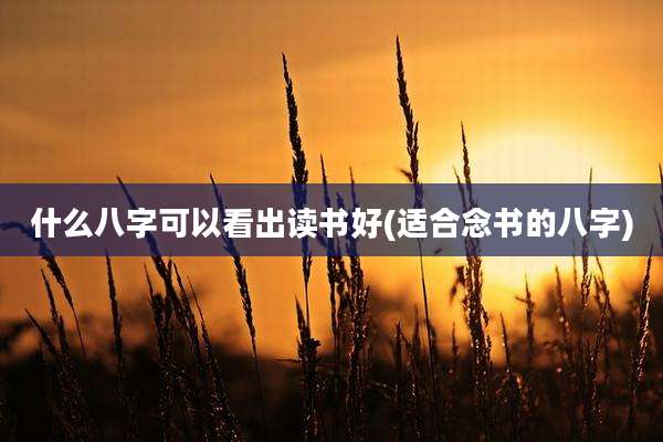 什么八字可以看出读书好(适合念书的八字)