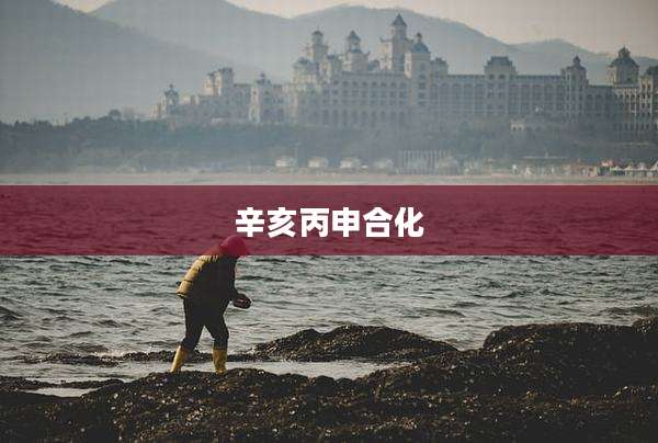 辛亥丙申合化