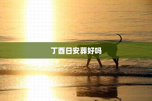 丁酉日安葬好吗