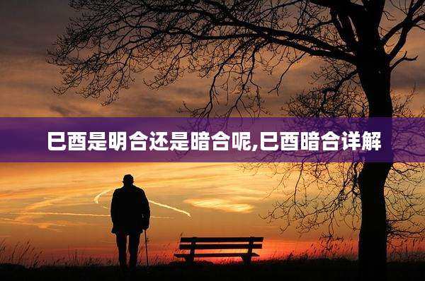 巳酉是明合还是暗合呢,巳酉暗合详解