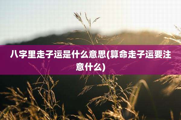 八字里走子运是什么意思(算命走子运要注意什么)