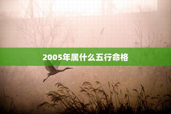 2005年属什么五行命格