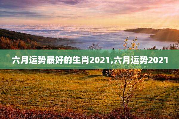 六月运势最好的生肖2021,六月运势2021