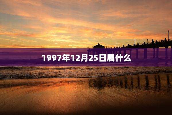 1997年12月25日属什么