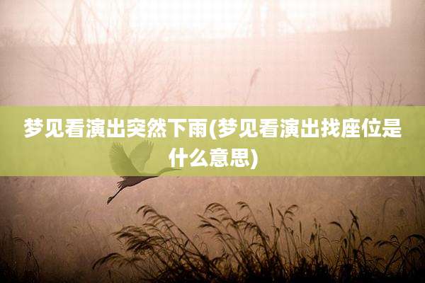 梦见看演出突然下雨(梦见看演出找座位是什么意思)
