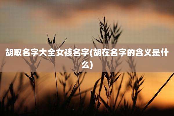 胡取名字大全女孩名字(胡在名字的含义是什么)