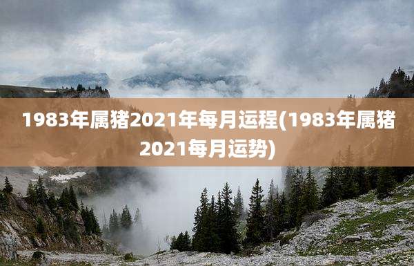 1983年属猪2021年每月运程(1983年属猪2021每月运势)